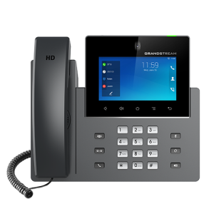 Grandstream GXV3450